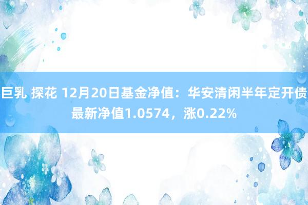 巨乳 探花 12月20日基金净值：华安清闲半年定开债最新净值1.0574，涨0.22%