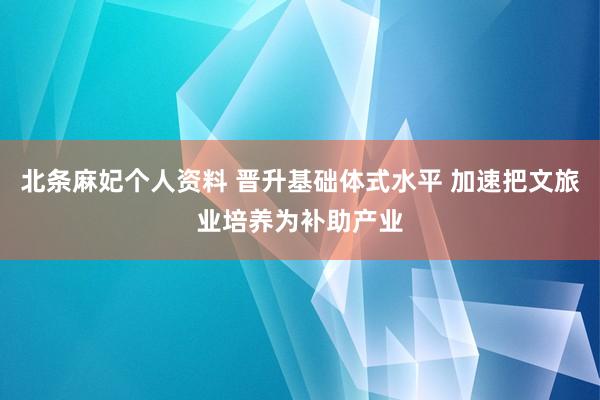 北条麻妃个人资料 晋升基础体式水平 加速把文旅业培养为补助产业