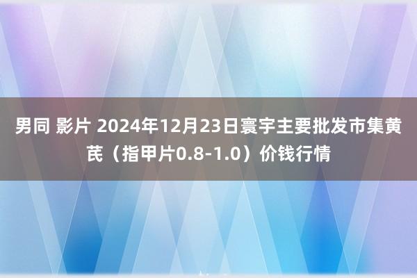 男同 影片 2024年12月23日寰宇主要批发市集黄芪（指甲片0.8-1.0）价钱行情