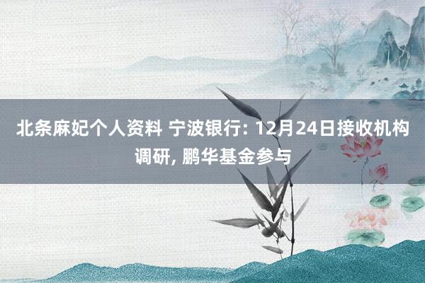 北条麻妃个人资料 宁波银行: 12月24日接收机构调研， 鹏华基金参与