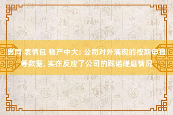 男同 表情包 物产中大: 公司对外涌现的按期申报等数据， 实在反应了公司的践诺磋磨情况