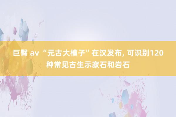 巨臀 av “元古大模子”在汉发布， 可识别120种常见古生示寂石和岩石