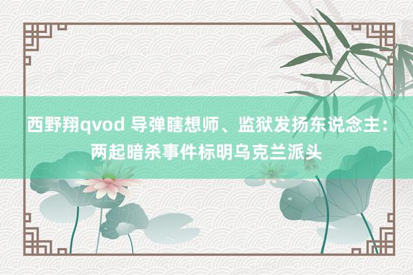 西野翔qvod 导弹瞎想师、监狱发扬东说念主：两起暗杀事件标明乌克兰派头