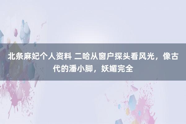 北条麻妃个人资料 二哈从窗户探头看风光，像古代的潘小脚，妖媚完全