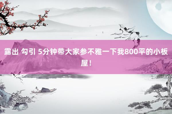 露出 勾引 5分钟带大家参不雅一下我800平的小板屋！