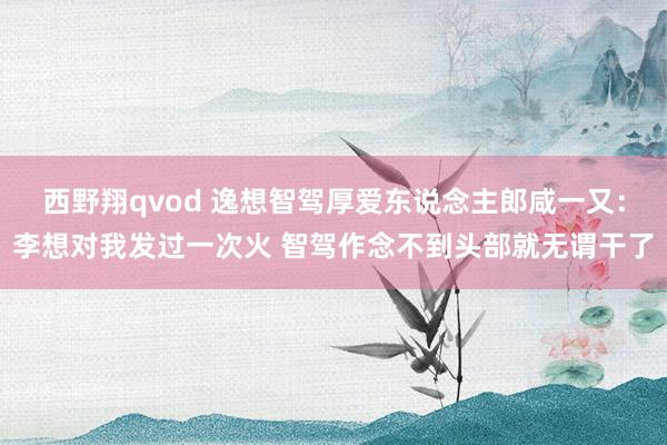 西野翔qvod 逸想智驾厚爱东说念主郎咸一又：李想对我发过一次火 智驾作念不到头部就无谓干了