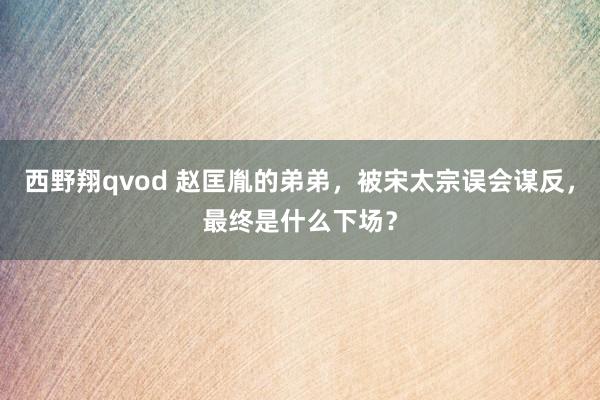 西野翔qvod 赵匡胤的弟弟，被宋太宗误会谋反，最终是什么下场？