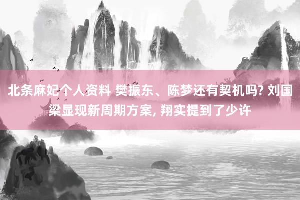 北条麻妃个人资料 樊振东、陈梦还有契机吗? 刘国梁显现新周期方案， 翔实提到了少许