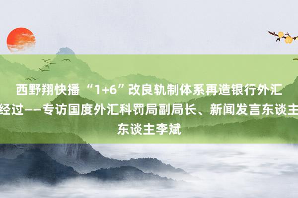 西野翔快播 “1+6”改良轨制体系再造银行外汇展业经过——专访国度外汇科罚局副局长、新闻发言东谈主李斌