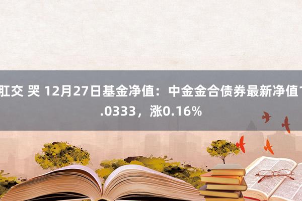 肛交 哭 12月27日基金净值：中金金合债券最新净值1.0333，涨0.16%