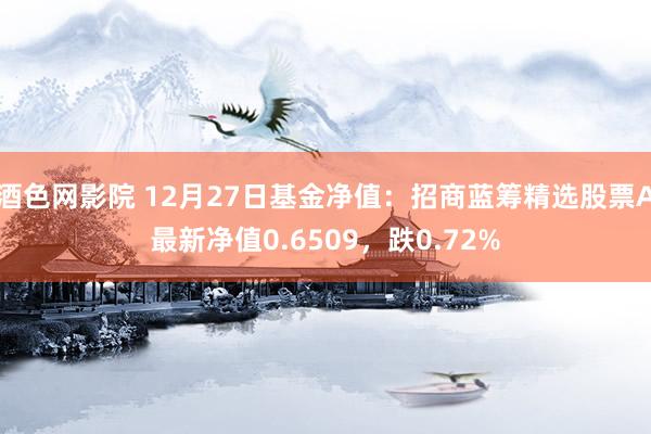 酒色网影院 12月27日基金净值：招商蓝筹精选股票A最新净值0.6509，跌0.72%