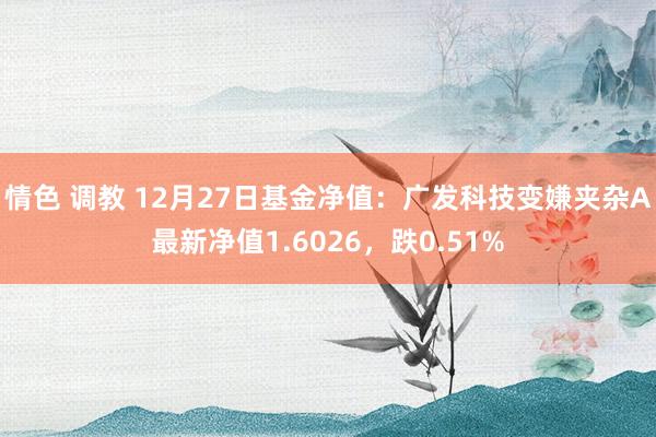 情色 调教 12月27日基金净值：广发科技变嫌夹杂A最新净值1.6026，跌0.51%