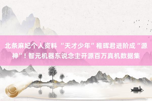 北条麻妃个人资料 “天才少年”稚晖君进阶成“源神”! 智元机器东说念主开源百万真机数据集