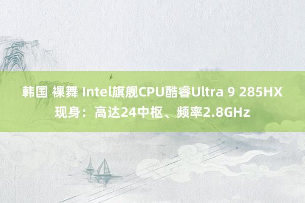 韩国 裸舞 Intel旗舰CPU酷睿Ultra 9 285HX现身：高达24中枢、频率2.8GHz