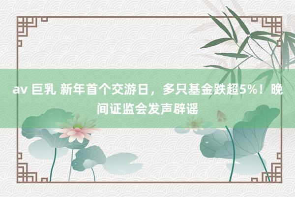 av 巨乳 新年首个交游日，多只基金跌超5%！晚间证监会发声辟谣