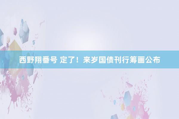 西野翔番号 定了！来岁国债刊行筹画公布
