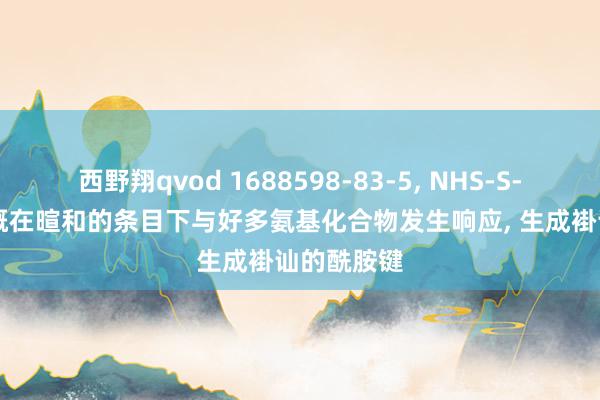 西野翔qvod 1688598-83-5， NHS-S-S-NHS大概在暄和的条目下与好多氨基化合物发生响应， 生成褂讪的酰胺键