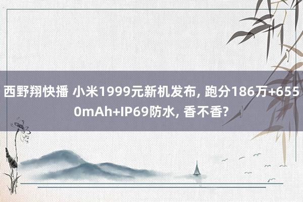 西野翔快播 小米1999元新机发布， 跑分186万+6550mAh+IP69防水， 香不香?