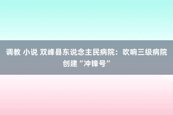 调教 小说 双峰县东说念主民病院:吹响三级病院创建“冲锋号”
