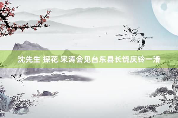 沈先生 探花 宋涛会见台东县长饶庆铃一滑