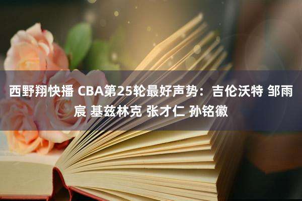 西野翔快播 CBA第25轮最好声势：吉伦沃特 邹雨宸 基兹林克 张才仁 孙铭徽