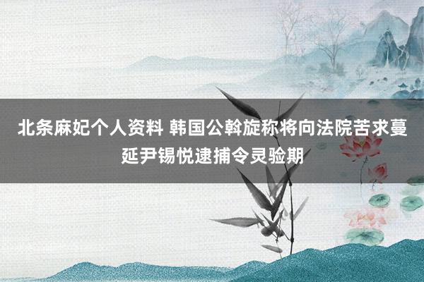 北条麻妃个人资料 韩国公斡旋称将向法院苦求蔓延尹锡悦逮捕令灵验期