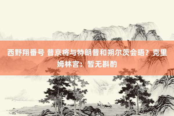 西野翔番号 普京将与特朗普和朔尔茨会晤？克里姆林宫：暂无斟酌