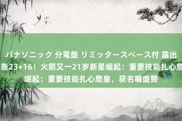 パナソニック 分電盤 リミッタースペース付 露出・半埋込両用形 轰23+16！火箭又一21岁新星崛起：重要技能扎心詹皇，获名嘴盛赞
