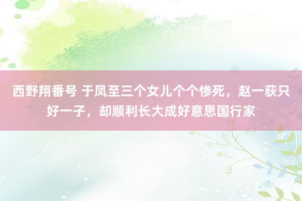 西野翔番号 于凤至三个女儿个个惨死，赵一荻只好一子，却顺利长大成好意思国行家