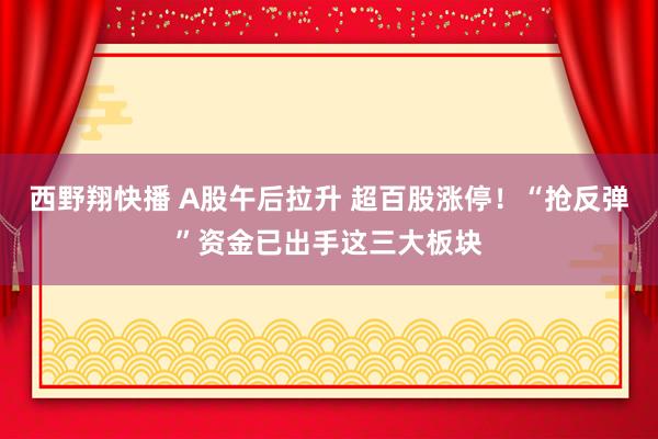 西野翔快播 A股午后拉升 超百股涨停！“抢反弹”资金已出手这三大板块