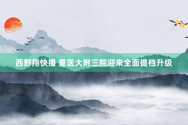 西野翔快播 重医大附三院迎来全面提档升级