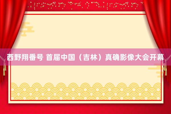 西野翔番号 首届中国（吉林）真确影像大会开幕