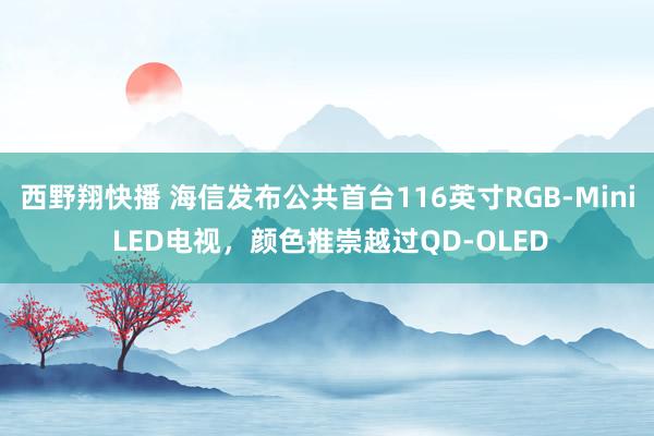 西野翔快播 海信发布公共首台116英寸RGB-Mini LED电视，颜色推崇越过QD-OLED