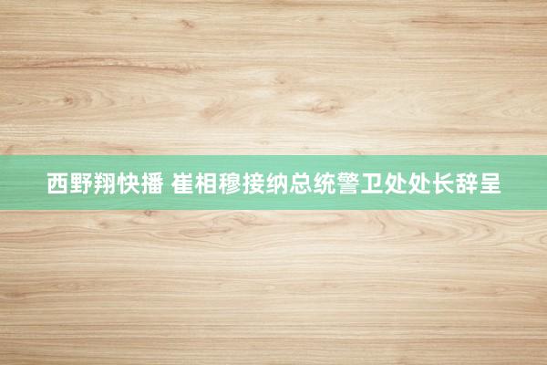 西野翔快播 崔相穆接纳总统警卫处处长辞呈