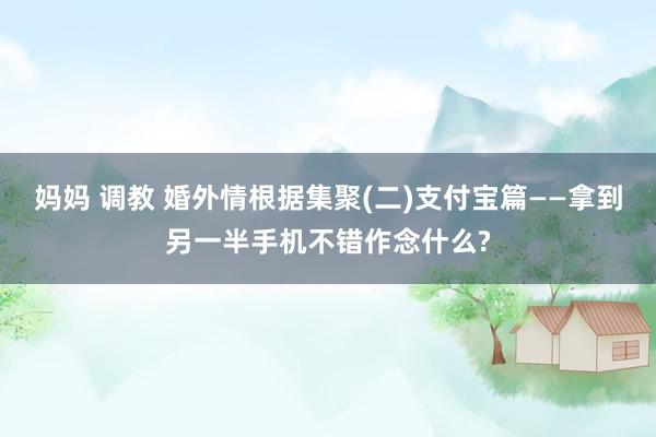 妈妈 调教 婚外情根据集聚(二)支付宝篇——拿到另一半手机不错作念什么?