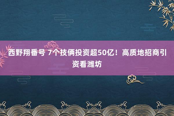 西野翔番号 7个技俩投资超50亿!高质地招商引资看潍坊