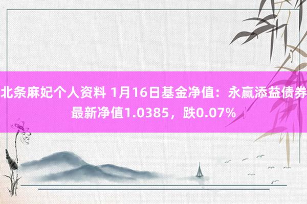 北条麻妃个人资料 1月16日基金净值：永赢添益债券最新净值1.0385，跌0.07%