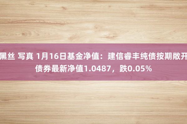 黑丝 写真 1月16日基金净值：建信睿丰纯债按期敞开债券最新净值1.0487，跌0.05%