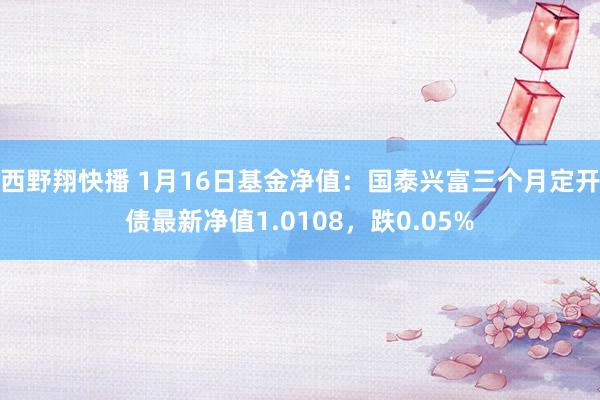 西野翔快播 1月16日基金净值：国泰兴富三个月定开债最新净值1.0108，跌0.05%