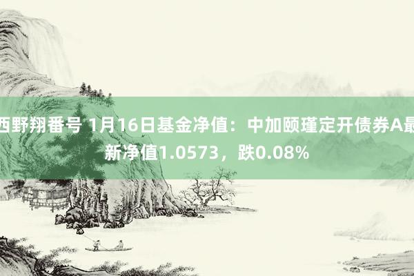 西野翔番号 1月16日基金净值：中加颐瑾定开债券A最新净值1.0573，跌0.08%