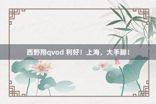 西野翔qvod 利好！上海，大手脚！