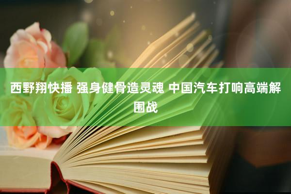 西野翔快播 强身健骨造灵魂 中国汽车打响高端解围战