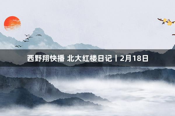 西野翔快播 北大红楼日记丨2月18日