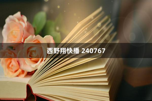 西野翔快播 240767