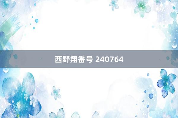 西野翔番号 240764