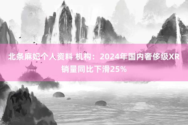 北条麻妃个人资料 机构：2024年国内奢侈级XR销量同比下滑25%