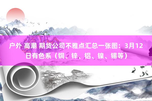 户外 高潮 期货公司不雅点汇总一张图：3月12日有色系（铜、锌、铝、镍、锡等）