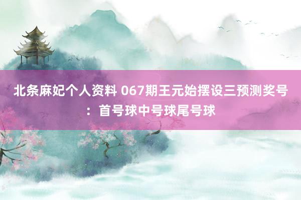 北条麻妃个人资料 067期王元始摆设三预测奖号：首号球中号球尾号球