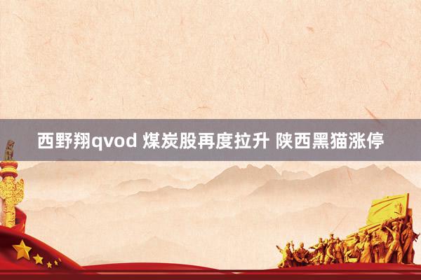 西野翔qvod 煤炭股再度拉升 陕西黑猫涨停