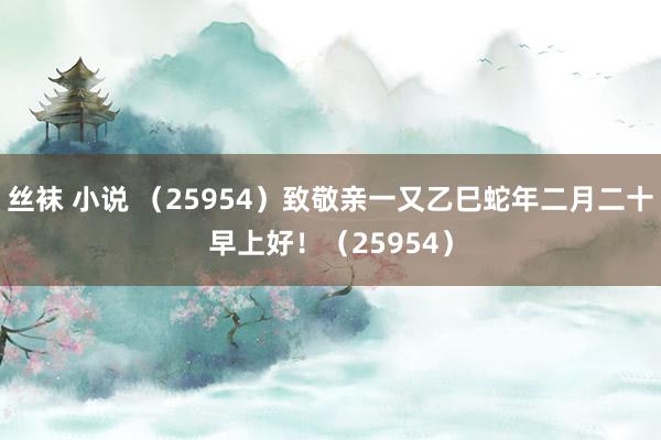丝袜 小说 （25954）致敬亲一又乙巳蛇年二月二十早上好！（25954）